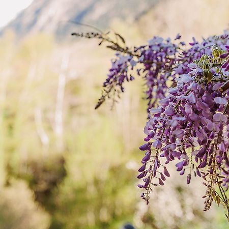 Chambre Ou Gite Dans Une Maison De Montagne - De Suzon A Zelie Entraigues  Εξωτερικό φωτογραφία