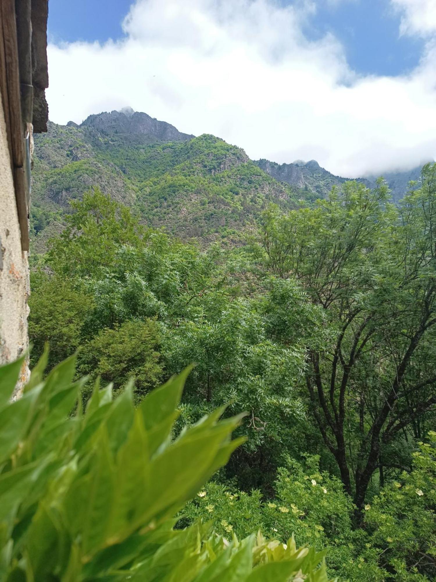 Chambre Ou Gite Dans Une Maison De Montagne - De Suzon A Zelie Entraigues  Δωμάτιο φωτογραφία